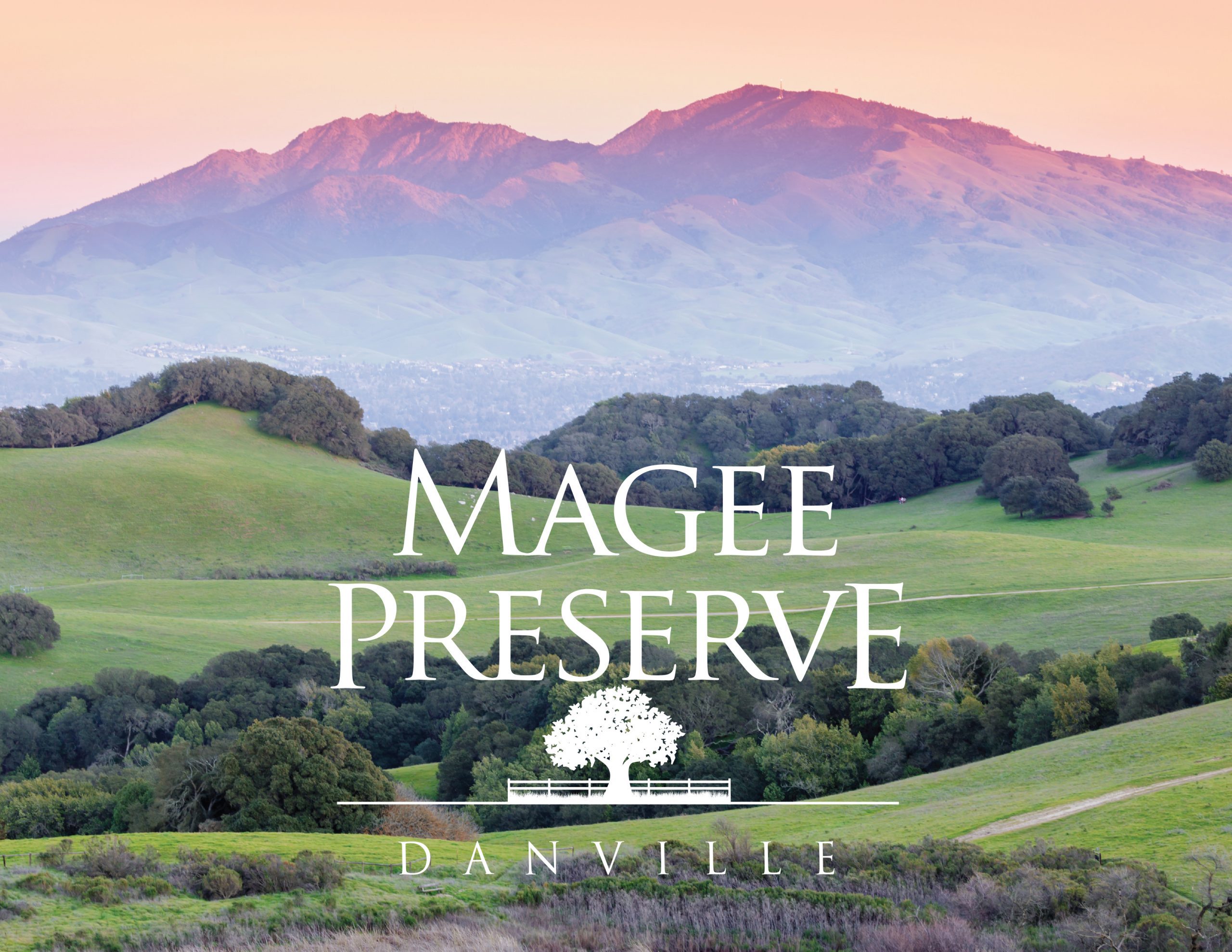 Magee Preserve Community Page Featured Image | Davidon Homes Magee Preserve Community Page Featured Image